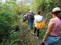 Caminatas ecológicas por senderos naturales.